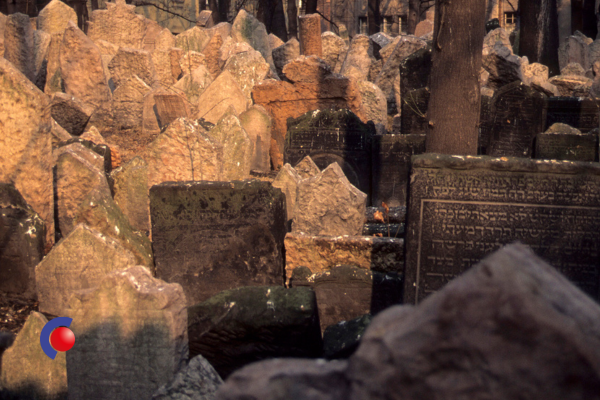 exotische activiteit groepsreis vlindertuin praag